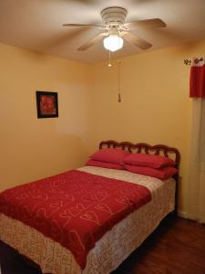 Tempat tidur dalam kamar di The Kind House Hosting, Low Monthly Rates, Traveling Nurses, FLETC, & Travelers!