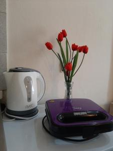 a vase with red tulips in it next to a blender at Mamas Reas in Káto Spílaion