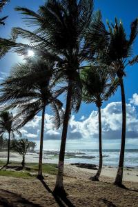 um grupo de palmeiras numa praia arenosa em Apartamentos Itapuã Residence - Praia em Salvador