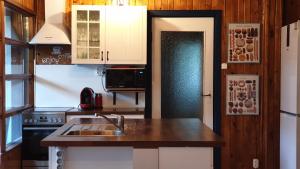 Kuchyň nebo kuchyňský kout v ubytování MiLa Home Balaton