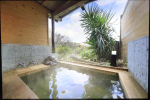 下田市にあるWelcome Inn SunnyStepsのスイミングプール付きの家の水のプール