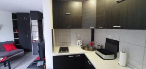 Köök või kööginurk majutusasutuses Studio 4 Divcibare +10 fotot
