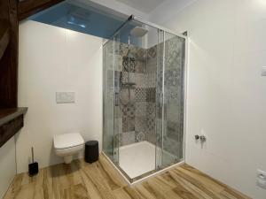 ein Bad mit einer Dusche und einem WC in der Unterkunft Apartmán U Hradeb Tachov in Tachov