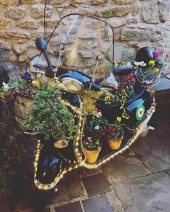 a motorcycle with potted plants on it at The Plume of Feathers in Sherborne
