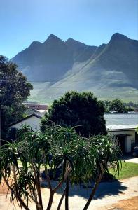 a group of plants in front of a building with mountains in the background at Mond Kleine Guest House in Kleinmond
