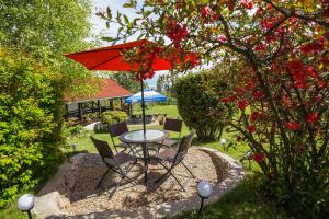 ムンテレ・バイショリイにあるPensiunea Andreeaの庭園の傘下のテーブルと椅子