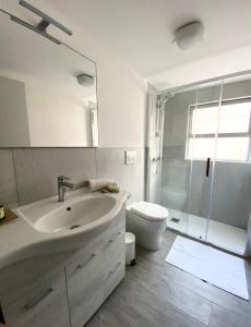 ブレンゾーネにあるCasa Elviraのバスルーム(洗面台、トイレ、シャワー付)