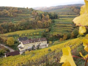 una vista de una casa en medio de un campo en Weinbau Weidenauer, en Wösendorf