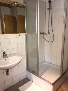 a bathroom with a shower and a sink at MONTEURWOHNUNG - Gesamtes Apartment in Göppingen