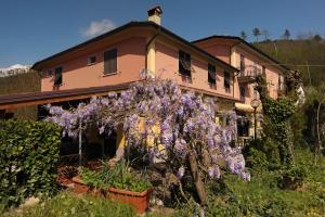 una casa con flores púrpuras delante de ella en Le Rondini en Riccò del Golfo di Spezia