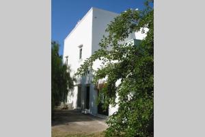 a white building with a tree in front of it at Casa Colonica in Gallipoli