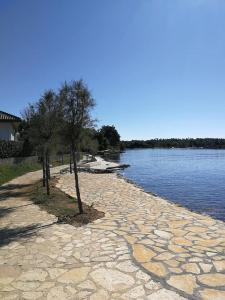 a stone shore with trees on the side of a lake at Apartmani Zara in Zaton