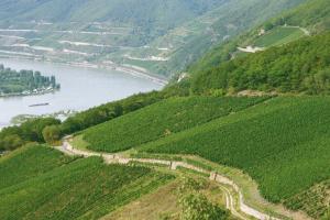 Paesaggio naturale nelle vicinanze dell'hotel