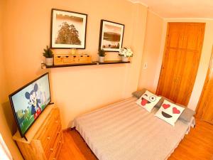 a small bedroom with a bed and a flat screen tv at Apartamentos Formigal - admite mascotas in Formigal