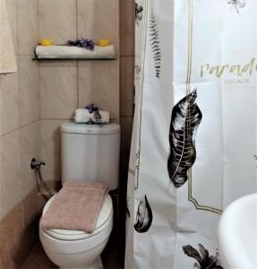 ein Badezimmer mit weißer Toilette und Dusche in der Unterkunft Afrodite Lefkimmi Apartment 1 in Lefkímmi