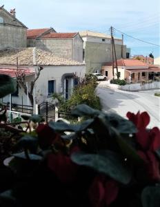 Blick auf eine Straße mit einem Haus und einer Pflanze in der Unterkunft Afrodite Lefkimmi Apartment 1 in Lefkímmi