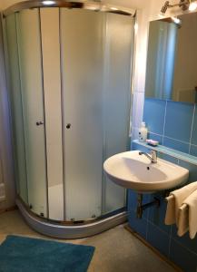 ヴィシュシー・ブロトにあるChata Thurmbergのバスルーム(ガラス張りのシャワー、シンク付)