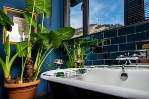 Fotografie z fotogalerie ubytování Communal Hotel Sololaki v destinaci Tbilisi City + 37 fotografií