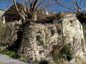 un mur en pierre avec un arbre devant une maison dans l'établissement Gite des Gorges de l'Ardèche, à Chame