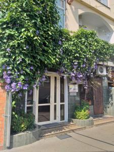 アドレルにあるGuest House SanLaraの紫の花の建物