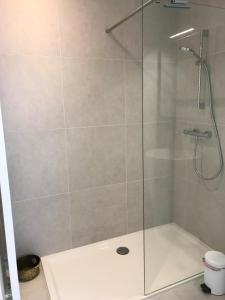 a shower with a glass door on a bathroom at Zilverzand aan zee - frontaal zeezicht in Koksijde +12 photos