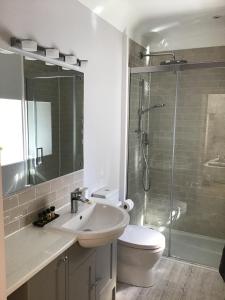 a bathroom with a toilet and a sink and a shower at Courtyard Cottage in Stroud