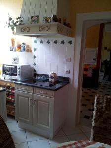cocina con encimera y microondas en Villa Sainte Barbe, en Mirecourt