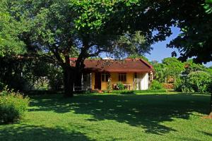 a yellow house with a tree in the yard at Ancha's Oasis in Maputo