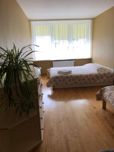een slaapkamer met 2 bedden en een potplant bij Pine Apartment in Šventoji