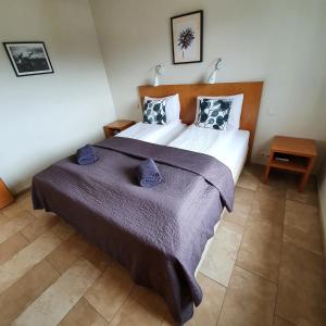 Letto o letti in una camera di Saeluhus Apartments & Houses