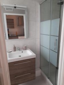 Un baño con lavabo y ducha de cristal. en Le cosy d'Amboise, en Amboise