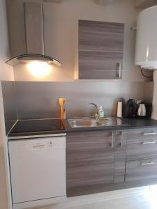 a kitchen with a sink and a counter top at Le cosy d'Amboise in Amboise