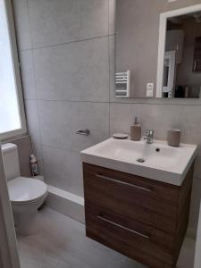 W łazience znajduje się umywalka, toaleta i lustro. w obiekcie Le cosy d'Amboise w mieście Amboise