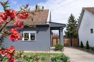 a gray house with a window and red flowers at Urban House - Ada in Ada