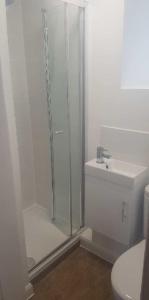 a white bathroom with a shower and a sink at Charming City Centre Flat in Edinburgh in Edinburgh