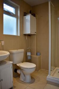 y baño con aseo, lavabo y ducha. en Charming 2 Bedroom Cottage in Central Location en Dublín