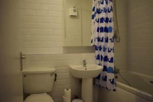 a bathroom with a toilet and a sink and a shower curtain at 2 Bedroom Apartment near historical Christchurch in Dublin