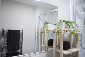 Beautiful Edinburgh Apartment in Stockbridge