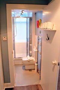 エディンバラにあるStylish Apartment in Edinburgh's New Townのバスルーム(トイレ、シャワー付)