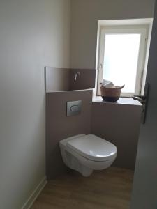 een badkamer met een toilet en een raam bij A l'appartement chez REVIGORA in Vienne