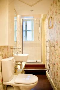 La salle de bains est pourvue de toilettes et d'un lavabo. dans l'établissement Period Property on Castle Street, à Édimbourg