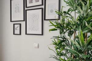 uma planta em frente a uma parede com quadros emoldurados em Studio Apartment with Balcony in Sanchinarro em Madrid