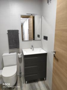ein Badezimmer mit einem WC, einem Waschbecken und einem Spiegel in der Unterkunft Casa Rural Lavernia in Cabanes
