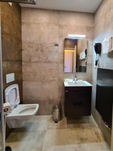 a bathroom with a toilet and a sink and a mirror at Pension Berlin in Cheb