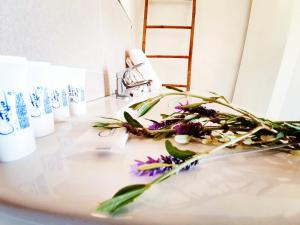 Fotografie z fotogalerie ubytování B&B La Nava Suites v destinaci Mojácar