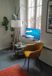 a living room with a chair and a television at Appartement Petite France avec terrasse in Strasbourg