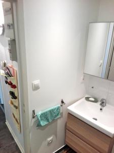 a bathroom with a sink and a mirror at Appartement Petite France avec terrasse in Strasbourg