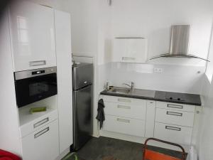 La cuisine est équipée de placards blancs et d'un réfrigérateur en acier inoxydable. dans l'établissement Appartement Petite France avec terrasse, à Strasbourg