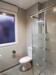 a bathroom with a toilet and a window and a shower at Km101 in Baamonde