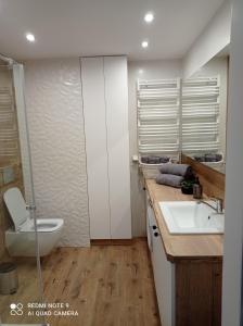 a bathroom with a toilet and a sink and a shower at Apartament Mazury Węgorzewo in Węgorzewo